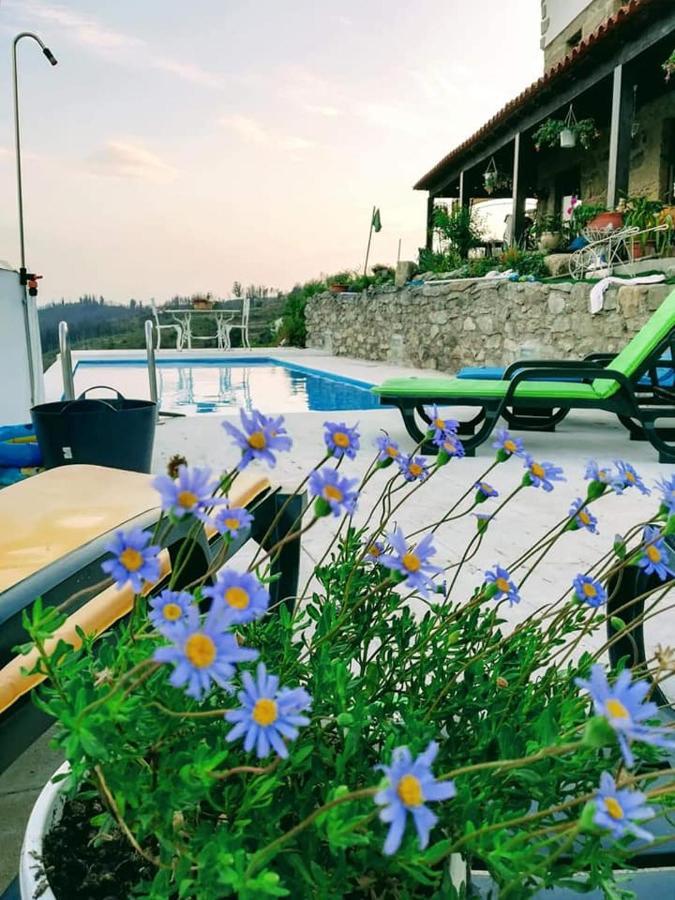 Quinta Do Cavaleiro Ao Sol - Um Lugar Ao Sol Pensionat Catraia de Sao Paio Eksteriør billede